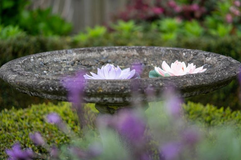 Photo of property in 3 Alba Place, Cambridge, 3434