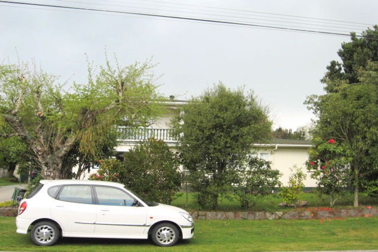 Photo of property in 20 Wheretia Street, Taupo, 3330