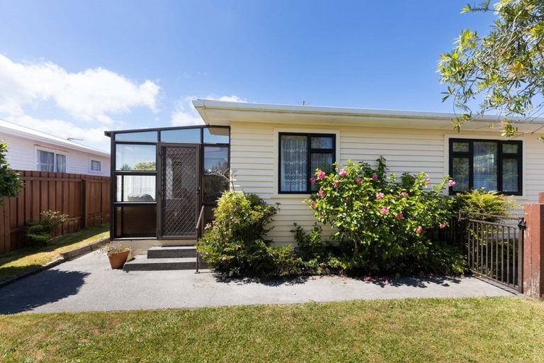 Photo of property in 4 Barclay Street, Ferndale, New Plymouth, 4310