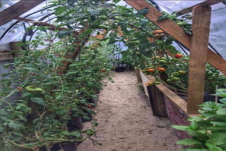 Photo of property in 172 Romilly Street, Westport, 7825