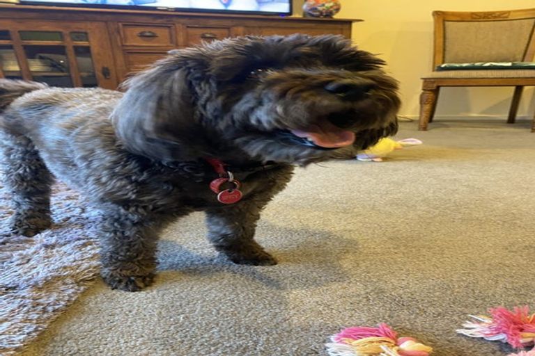 Photo of property in 1407 Whangarei Heads Road, Parua Bay, Whangarei, 0174