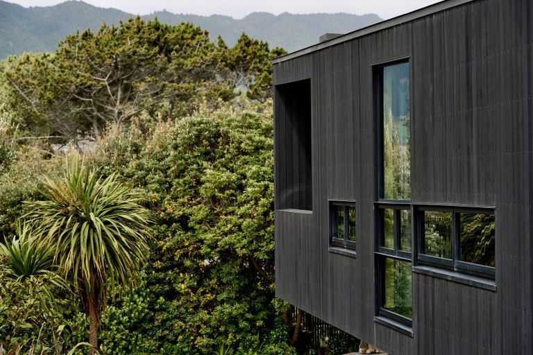 Photo of property in 94 Paetawa Road, Peka Peka, Waikanae, 5391