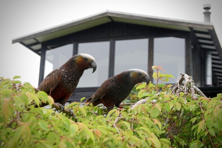Photo of property in 849 Blueskin Road, Mount Cargill, Waitati, 9085