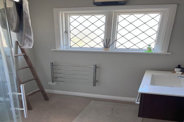 Photo of property in 175 Signal Hill Road, Opoho, Dunedin, 9010