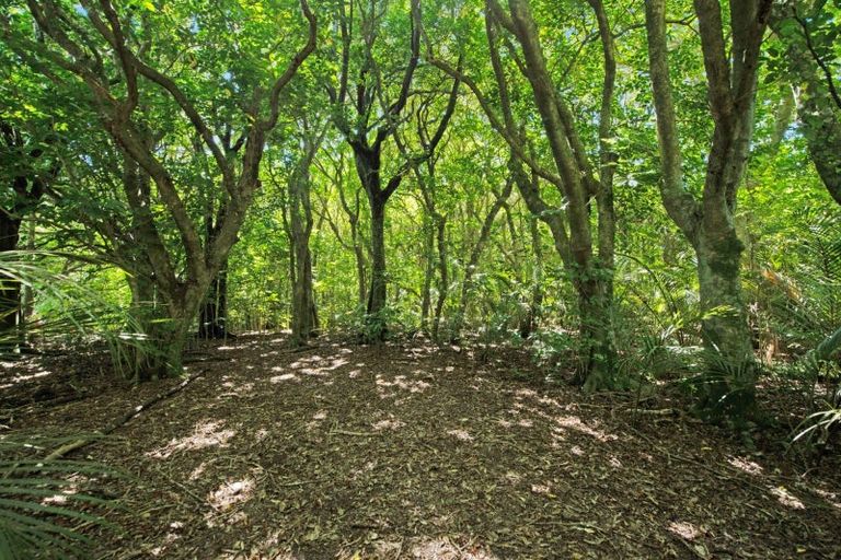 Photo of property in 15 Catley Road, Te Horo, Otaki, 5582