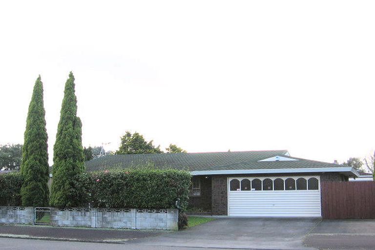 Photo of property in 53 Fitzroy Street, Terrace End, Palmerston North, 4410