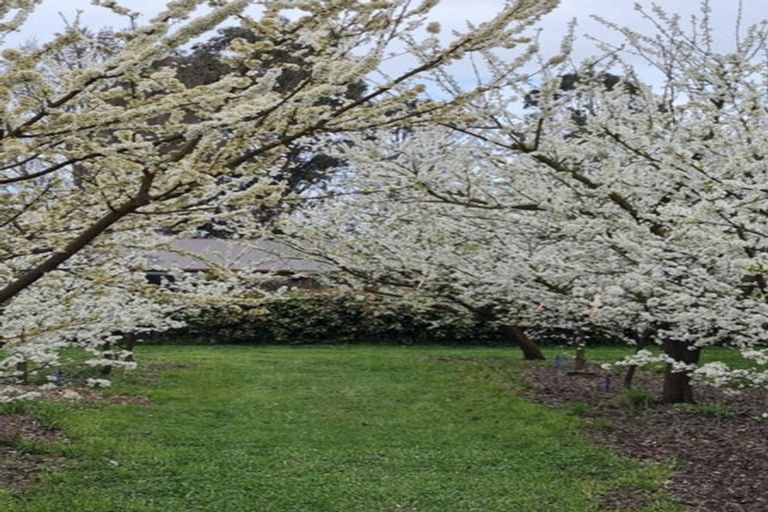 Photo of property in 1520 Tram Road, Swannanoa, Rangiora, 7475