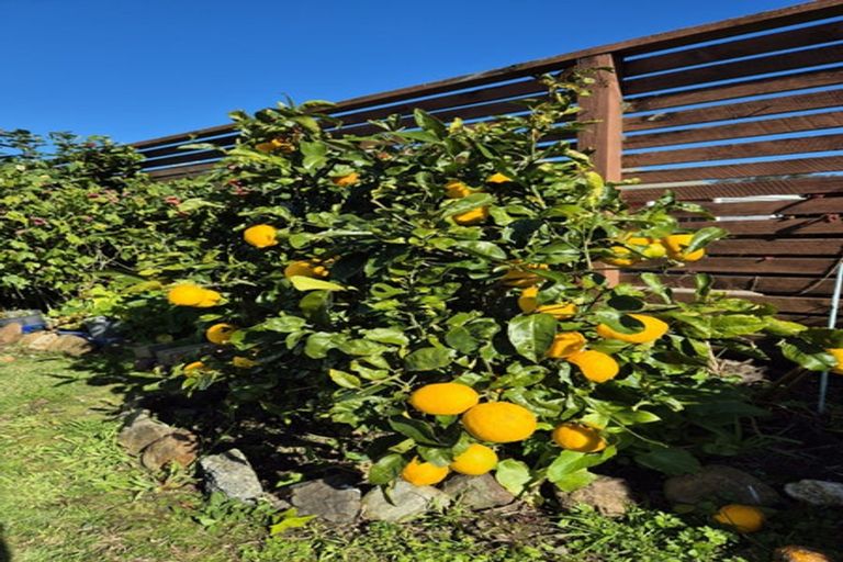 Photo of property in 4 Courthouse Lane, Coromandel, 3506