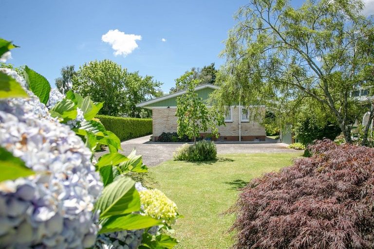 Photo of property in 35 Queen Street, Cambridge, 3434