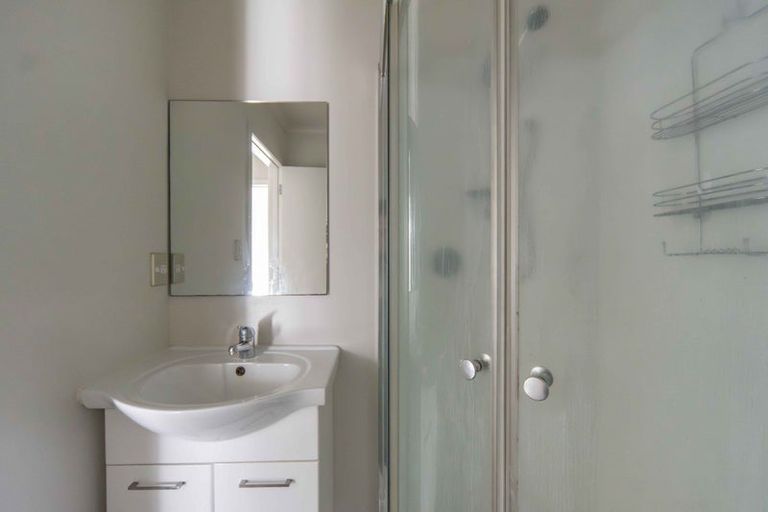 Photo of property in 58 Willoughby Street, Whitiora, Hamilton, 3200