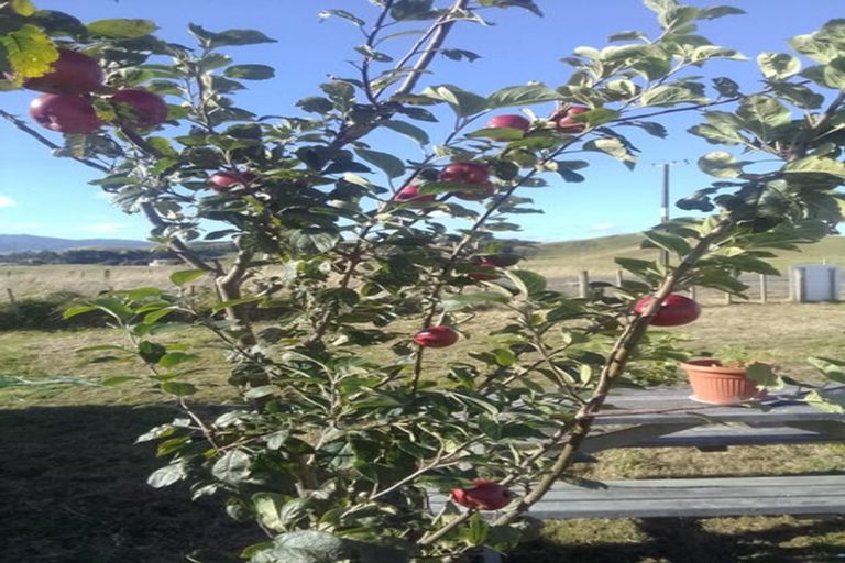 Photo of property in 18 Martin Road, Papatawa, Woodville, 4998