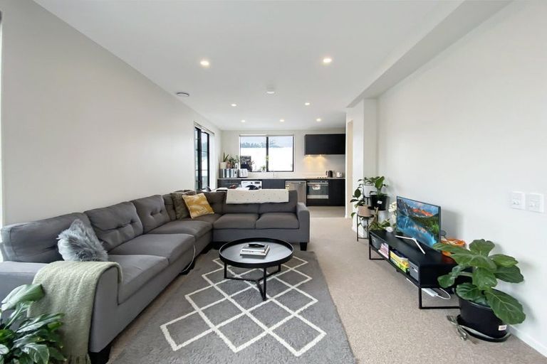 Photo of property in Aniva Terrace, 17 Arney Street, Newtown, Wellington, 6021