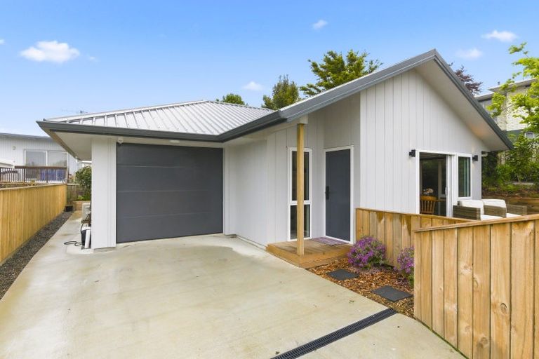 Photo of property in 20a Argyle Avenue, Levin, 5510