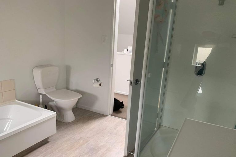 Photo of property in 84b Matipo Street, Riccarton, Christchurch, 8041