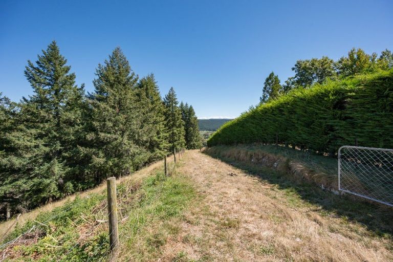 Photo of property in 17 Hunt Terrace, Wakefield, 7025