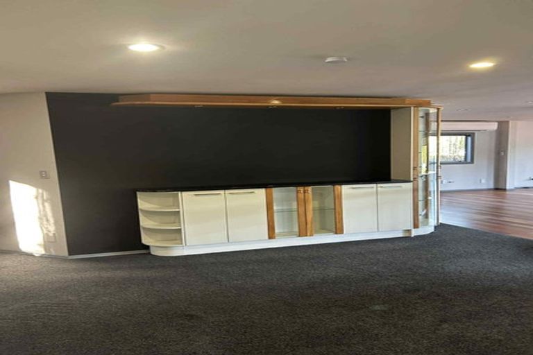 Photo of property in 14 Bush View Lane, Northcote Point, Auckland, 0627