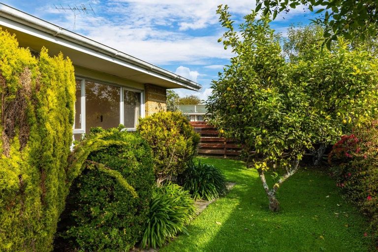 Photo of property in 10c Eltham Road, Blenheim, 7201
