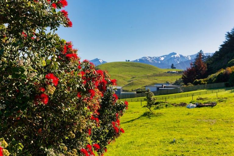 Photo of property in 16 Kotare Place, South Bay, Kaikoura, 7300