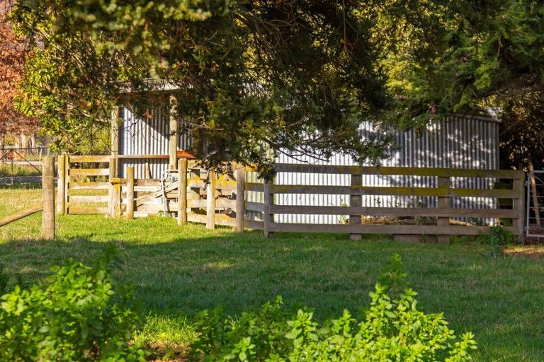 Photo of property in 82 Mckinstry Avenue, Te Ore Ore, Masterton, 5886