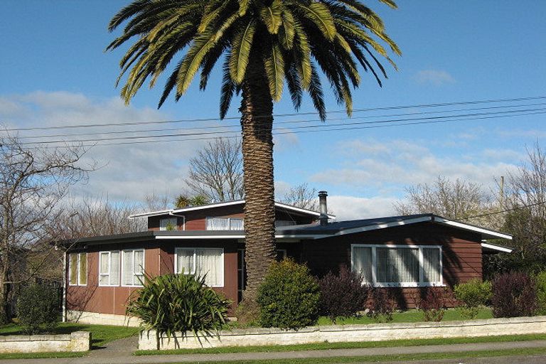 Photo of property in 17 Jellicoe Street, Waipukurau, 4200