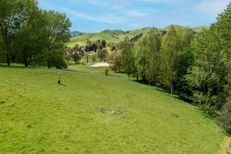 Photo of property in 97c Ireland Road, Waipawa, 4277