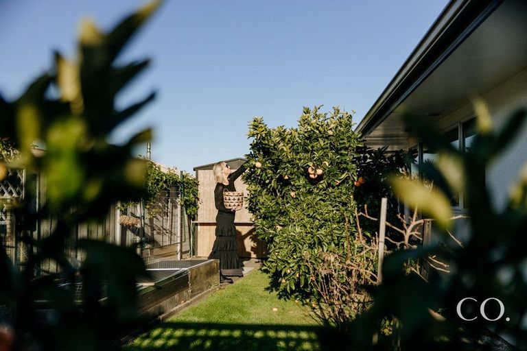 Photo of property in 59b Plateau Heights, Mount Maunganui, 3116