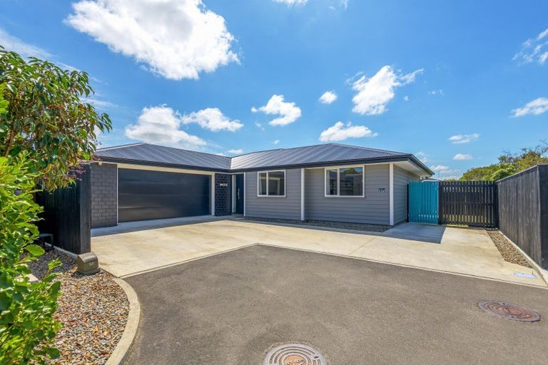 Photo of property in 11c Mcgregor Street, Milson, Palmerston North, 4414