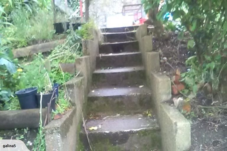 Photo of property in 74 Heriot Row, North Dunedin, Dunedin, 9016