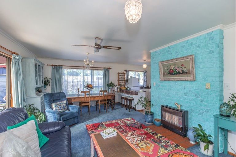 Photo of property in 29a Sussex Street, Levin, 5510