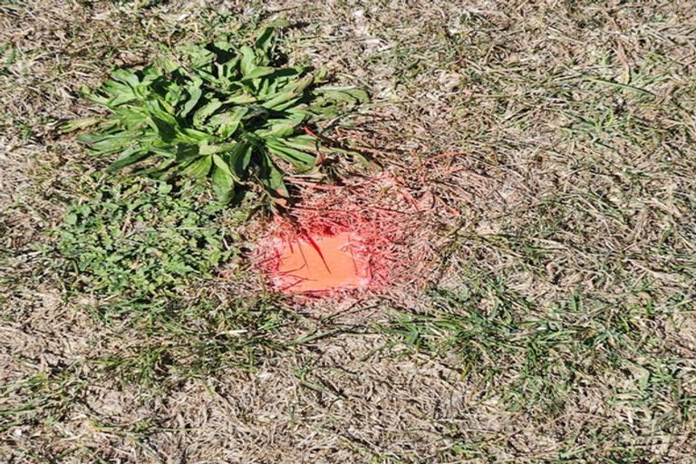 Photo of property in 161 Wairere Road, Wainui, 4010