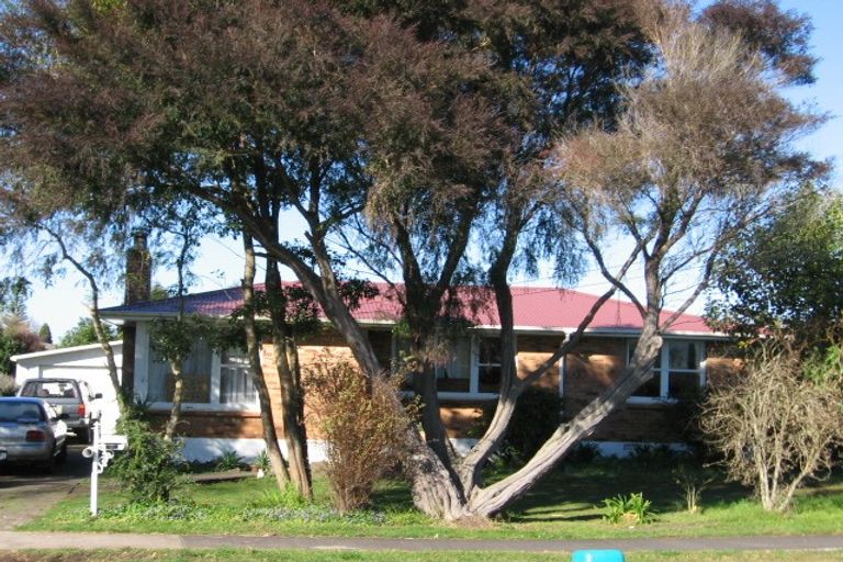 Photo of property in 189 Old Wairoa Road, Papakura, 2110
