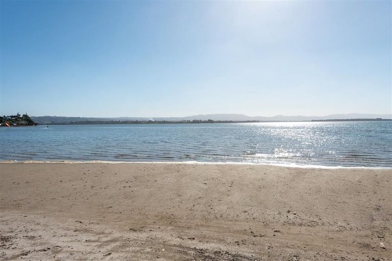 Photo of property in 50 Tilby Drive, Matua, Tauranga, 3110