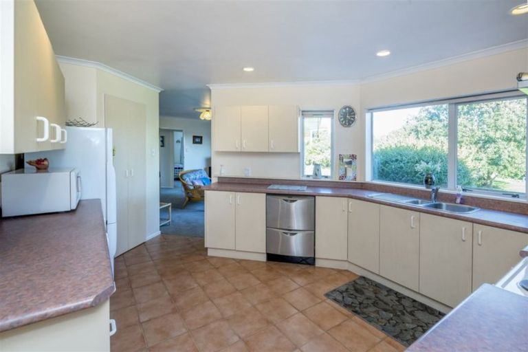 Photo of property in 17 Ryder Crescent, Levin, 5510