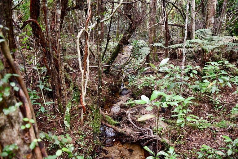 Photo of property in 70 Sunset Heights Road, Karamea, 7893