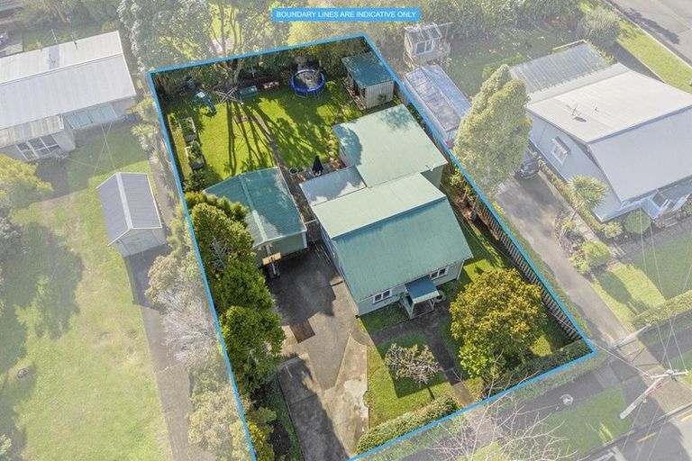 Photo of property in 19 Rimu Street, New Lynn, Auckland, 0600