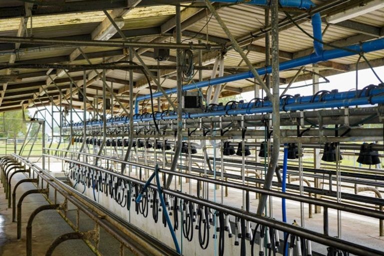 Photo of property in 306 Ferry Road, Waltham, Christchurch, 8011