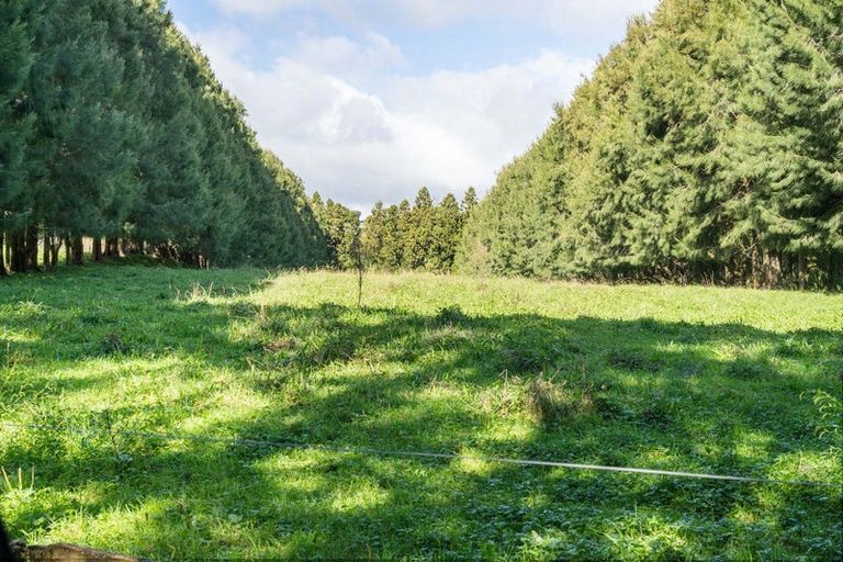 Photo of property in 486 Esdaile Road, Whakamarama, Tauranga, 3180