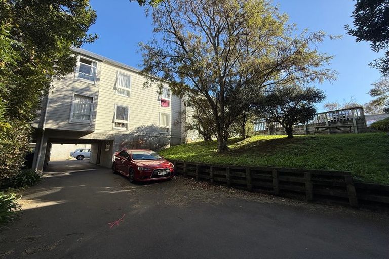 Photo of property in 113 Coromandel Street, Newtown, Wellington, 6021