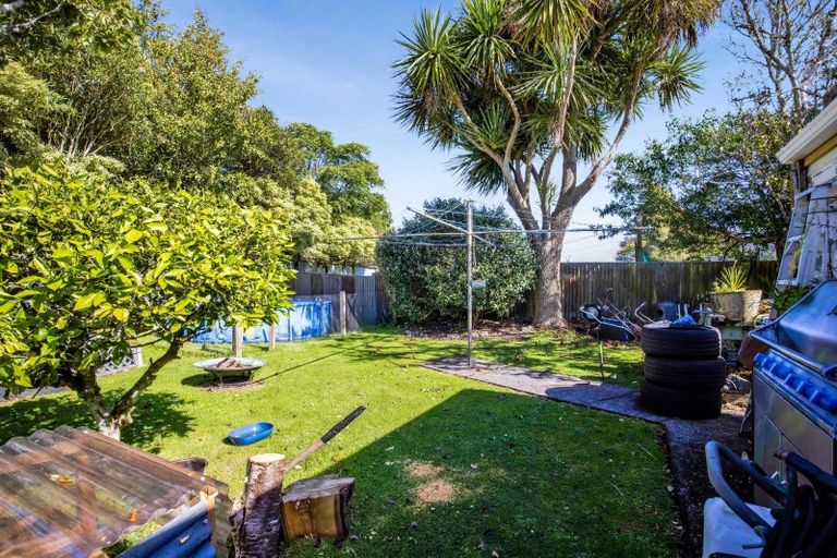 Photo of property in 31 Lysander Street, Stratford, 4332