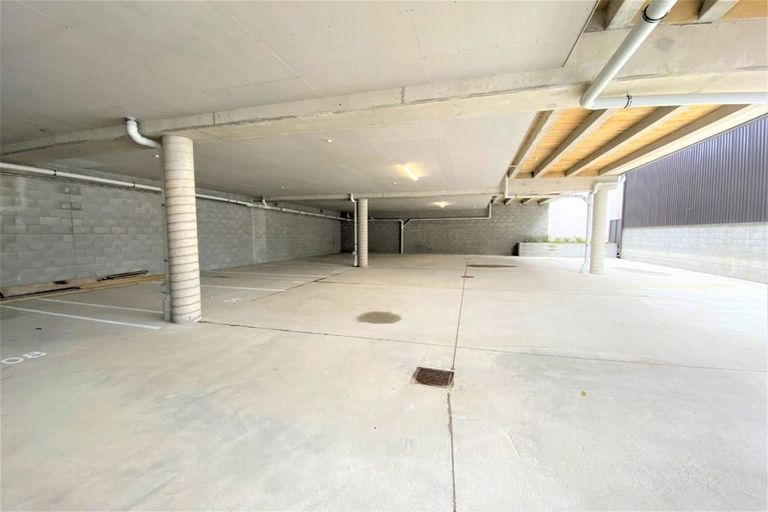 Photo of property in Aniva Terrace, 19 Arney Street, Newtown, Wellington, 6021