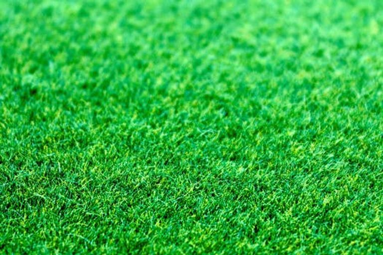 Photo of property in 19a Atkinson Avenue, Papatoetoe, Auckland, 2025