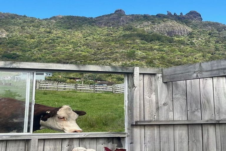 Photo of property in 2053 Whangarei Heads Road, Whangarei Heads, Whangarei, 0174