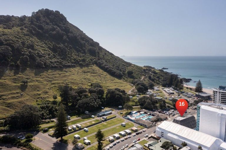 Photo of property in 16 Adams Avenue, Mount Maunganui, 3116