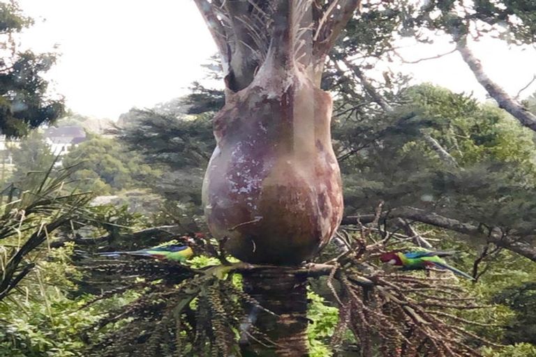 Photo of property in 90 Park Road, Titirangi, Auckland, 0604