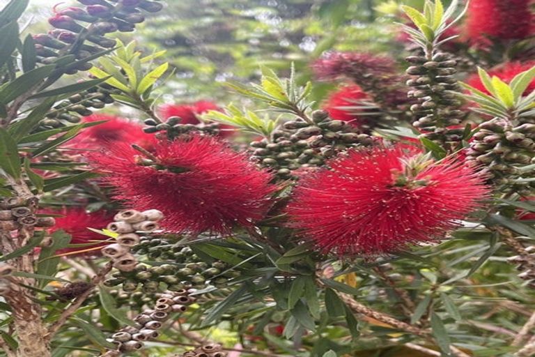 Photo of property in 9 Mariners Way, Whitby, Porirua, 5024