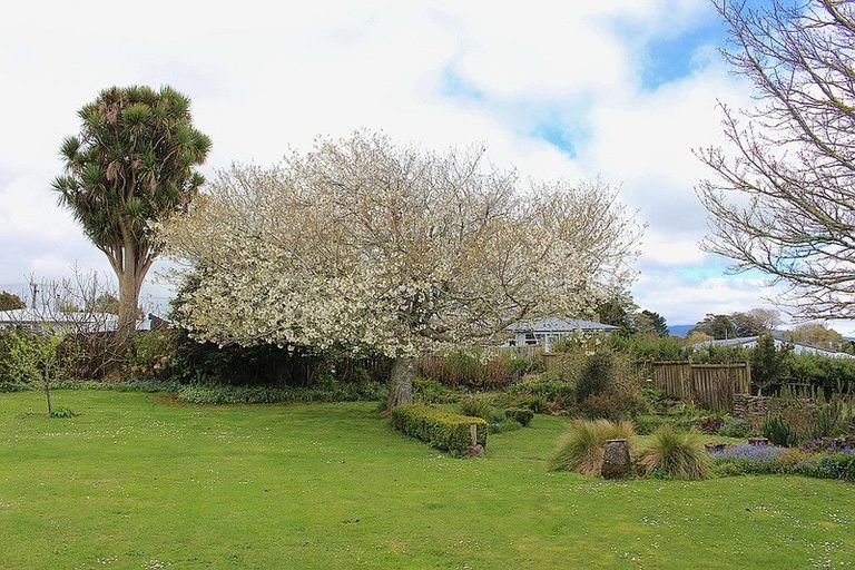 Photo of property in 3 Olivia Street, Stratford, 4332