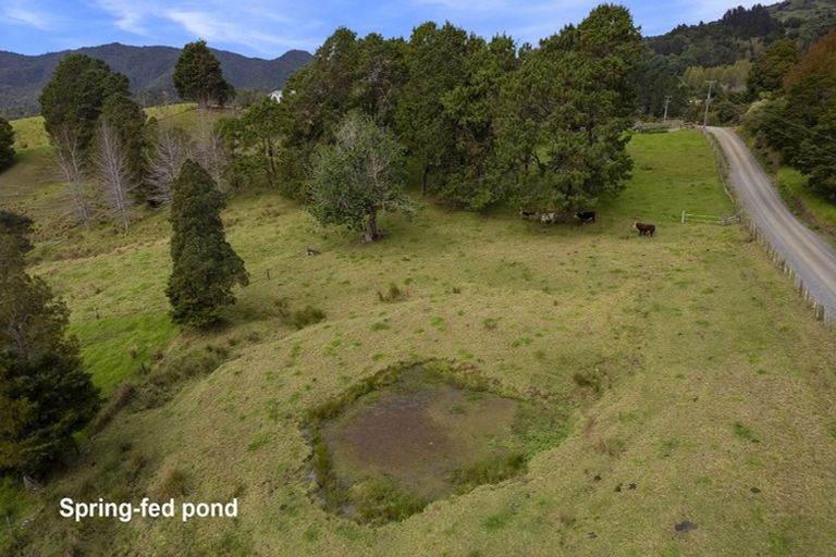 Photo of property in 20 Mangamanihi Road, Kaeo, 0479