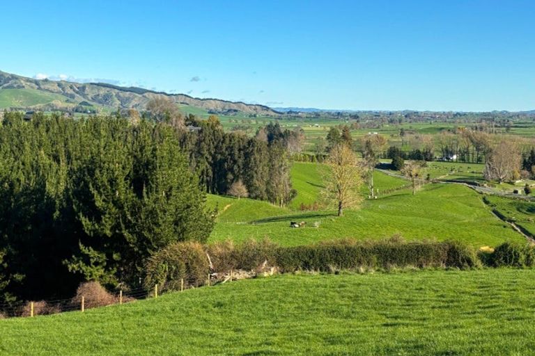 Photo of property in 235 Norwegian Road, Rotoorangi, Cambridge, 3495