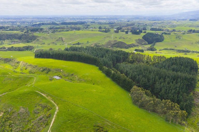 Photo of property in 158 Pahiatua Aokautere Road, Aokautere, 4471
