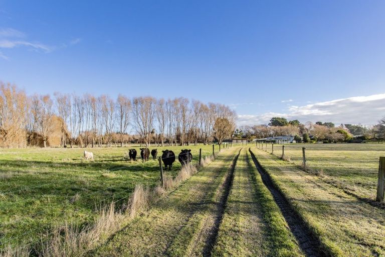 Photo of property in 69 Kowai River Road, Amberley, 7481
